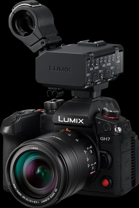 Productafbeelding Panasonic DMW-XLR2E video-interface