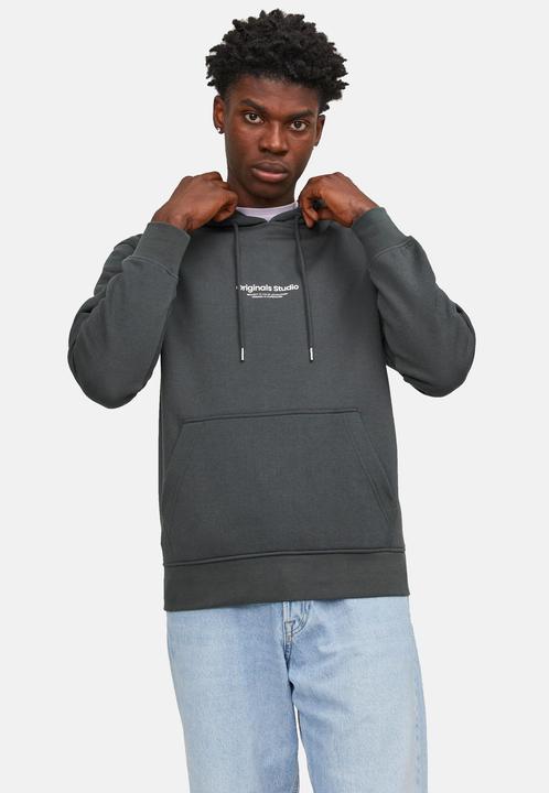 Actual product image Jack & Jones Sweat Hoodie (XXL)