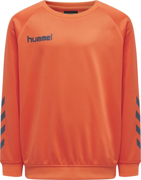 Image du produit hummel Promo Kids Poly Sweatshirt (176)