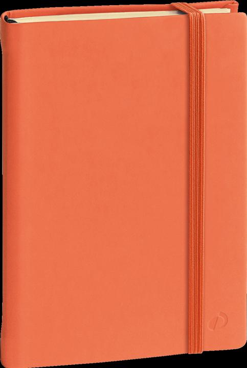 Produktbild Quo Vadis Notizbuch 15 Silk