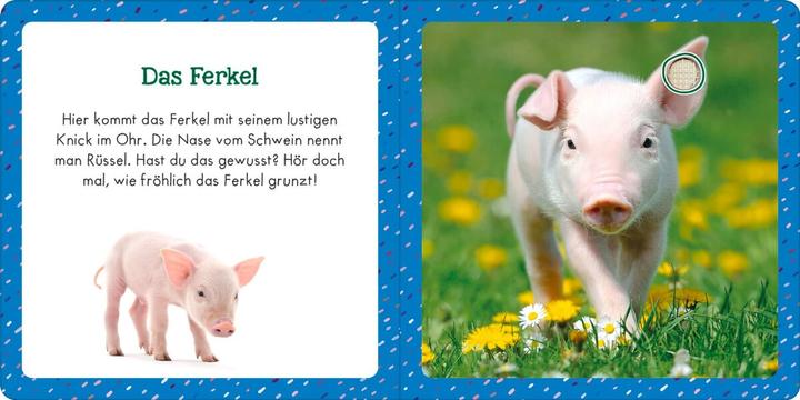 Produktbild Soundbuch für Klitzekleine – Bauernhoftiere (Deutsch)