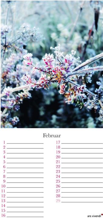 Produktbild Geburtstagskalender Garten immerwährend (Harter Einband, Deutsch)