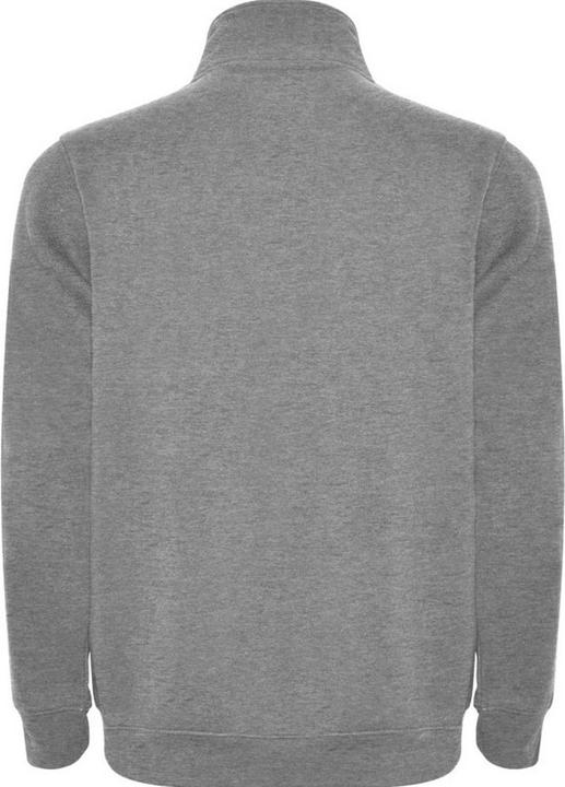 Actual product image Alpinia Mens Aneto Quarter Zip Sweatshirt (M)