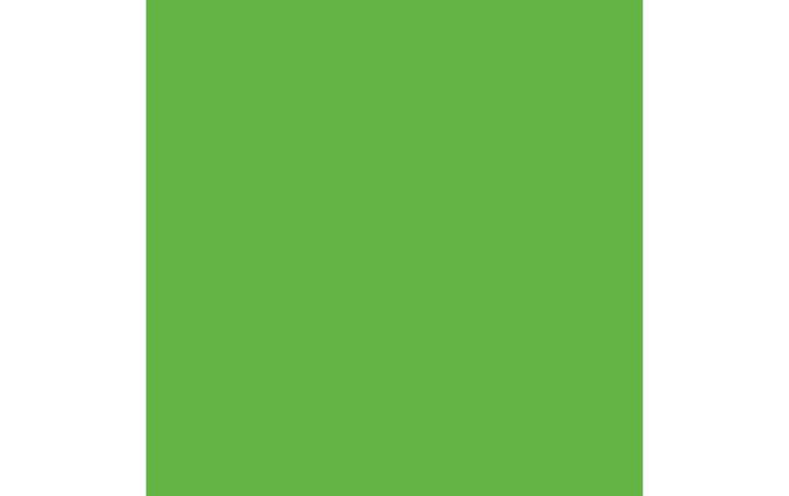 Immagine prodotto Amsterdam serie standard (Verde riflesso, 120 ml)