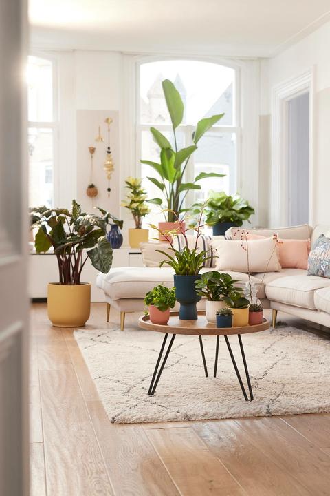 Image du produit Elho Vibes (29.50 cm)