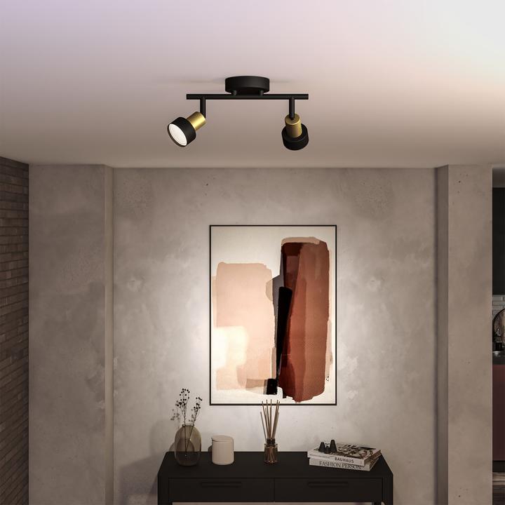 Image du produit Philips Conduit (GU10)