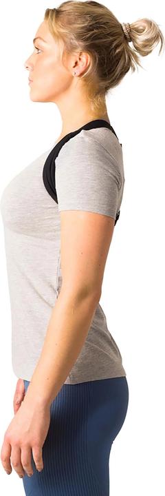 Produktbild Swedish Posture Flexi