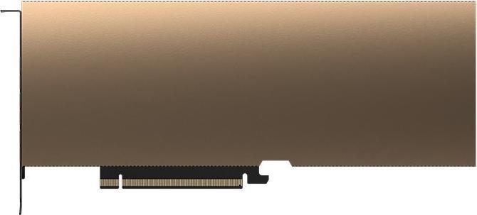 Actual product image PNY Nvidia A40 (48 GB)