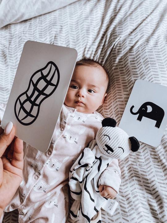 Actual product image Priya & Peanut Newborn Sensory Cards 0+, Award-Winning Baby Toy