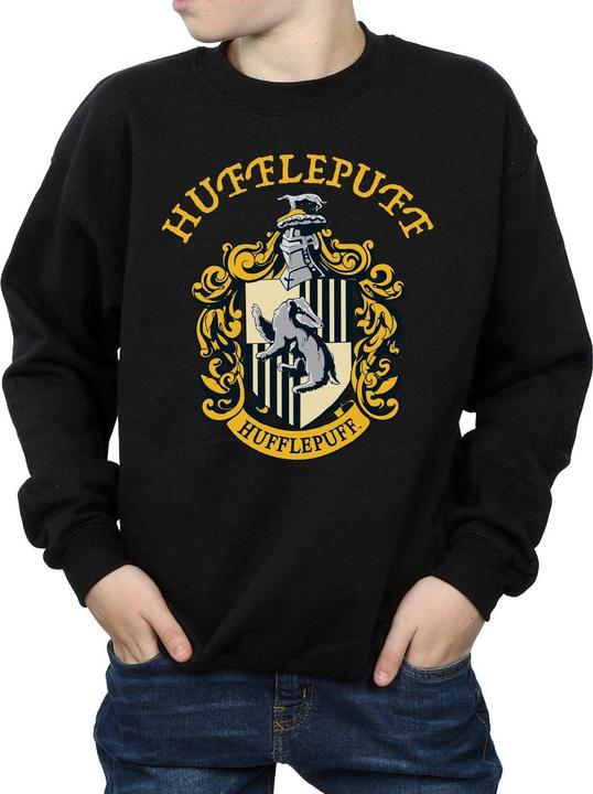 Produktbild Boys Hufflepuff Cotton Sweatshirt (152, 158)