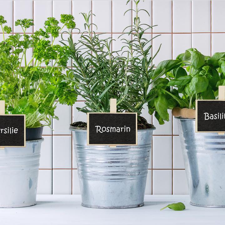 Actual product image Relaxdays Plant Label Clips, Pack of 48 (1.50 cm, 7.50 cm)