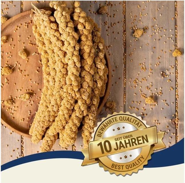 Actual product image Lyra Pet Foxtail millet (1 x, 1 kg)