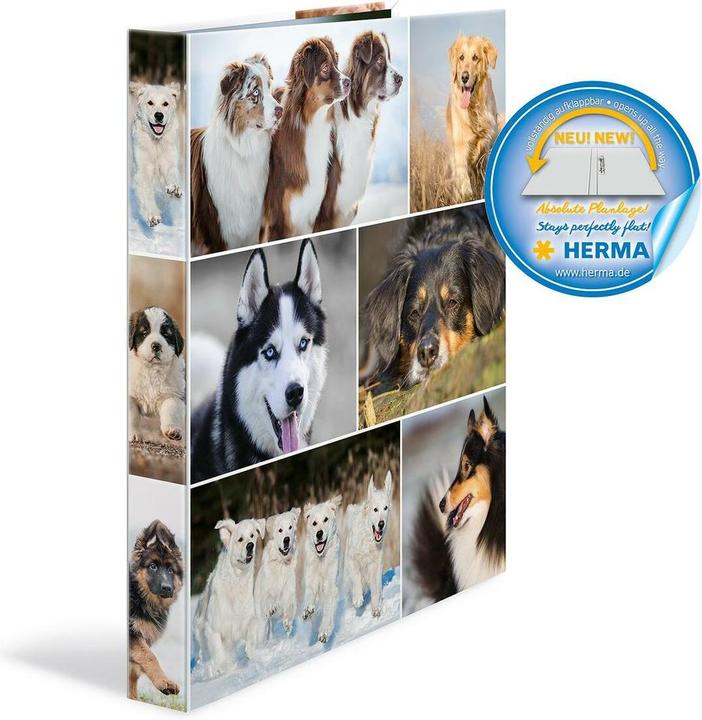 Actual product image HERMA A4 ring binder motif (A4, 35 mm, 1 Piece)