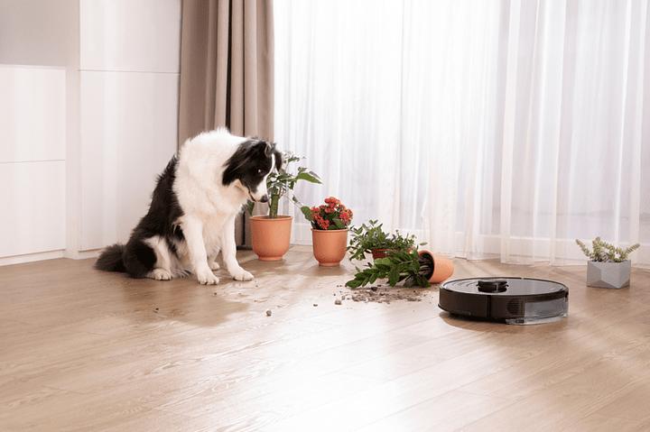 Actual product image Roborock S6 MaxV (Robot vacuum)