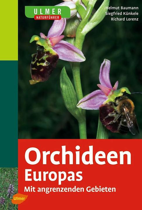 Immagine prodotto Ulmer Naturführer Orchideen Europas (Tedesco, Richard Lorenz, Siegfried Künkele, Helmut Baumann, 2006)