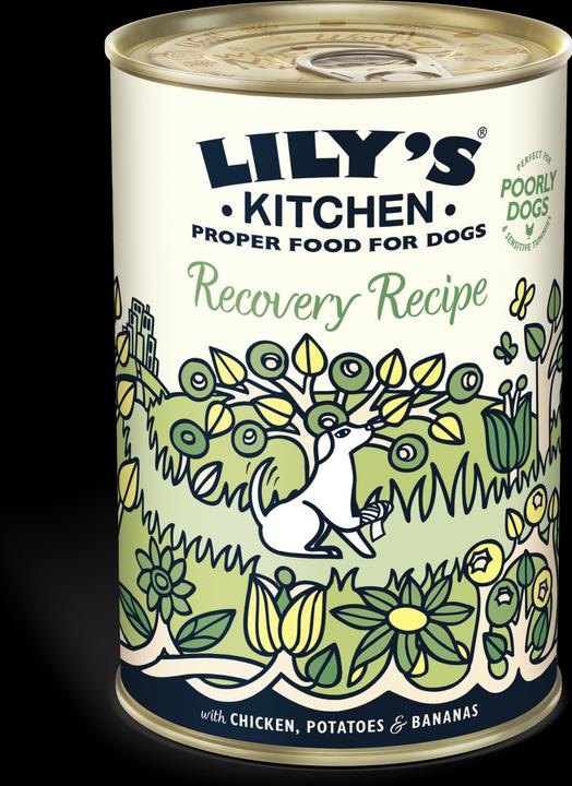 Actual product image Lily's Kitchen Recovery Recipe (Adult, 1 pcs., 400 g)