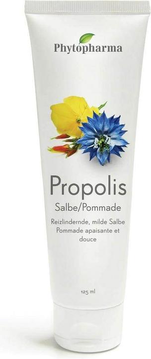 Produktbild Phytopharma Propolis comp. Salbe 12 (Körpercreme, 125 ml)
