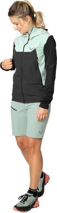 Actual product image Dynafit Transalper Dynastretch Shorts (L)