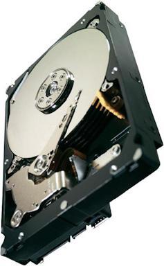 Produktbild Seagate Constellation ES (2 TB, 3.5")