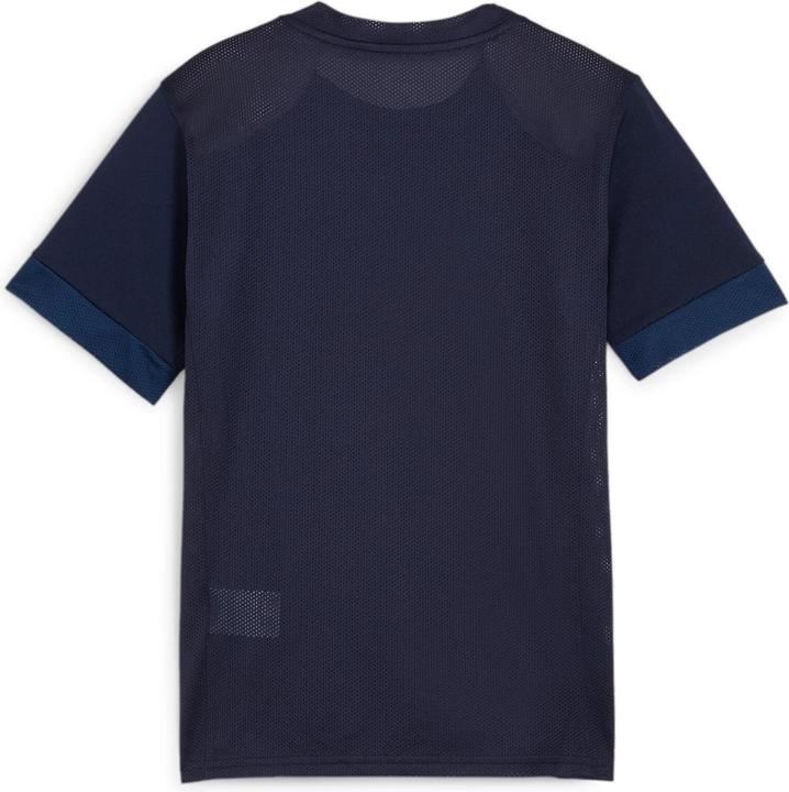Immagine prodotto Puma Maglia da gara teamGOAL jr (164)