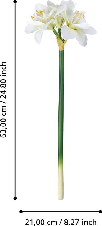 Actual product image EGLO LIVING Molave (63 cm)