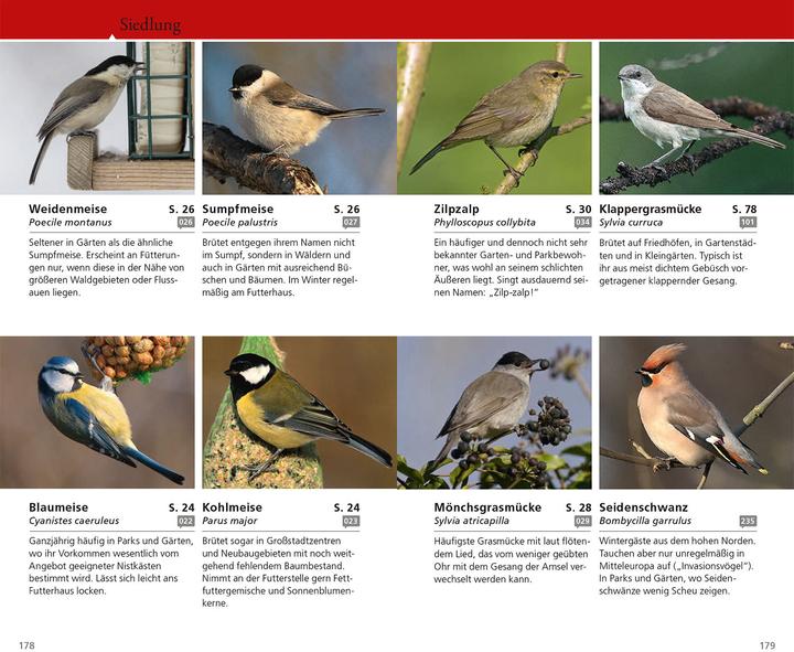 Produktbild Kosmos Vogelführer für unterwegs (Deutsch, Katrin Hecker, Frank Hecker, 2025)