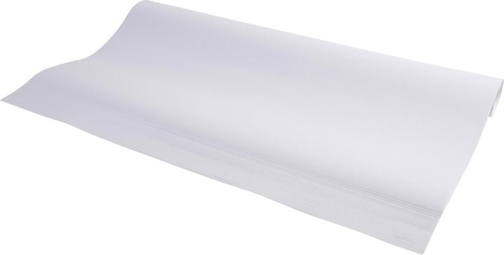 Exacompta Flipchartblock (63 x 98 cm)