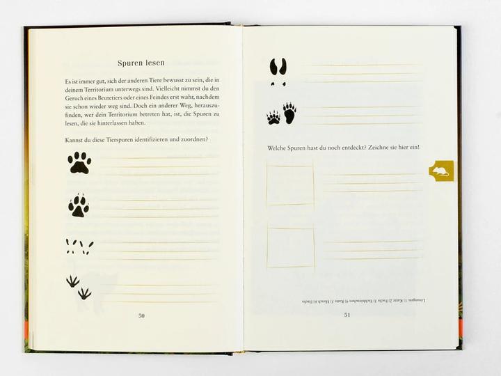 Produktbild Warrior Cats - DEINE Welt der Clans (Deutsch, Erin Hunter, 2021)
