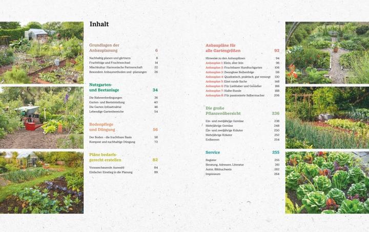 Immagine prodotto Das grosse Handbuch Gemüse-Anbauplanung (Tedesco, Gioacchino Mayer, 2021)