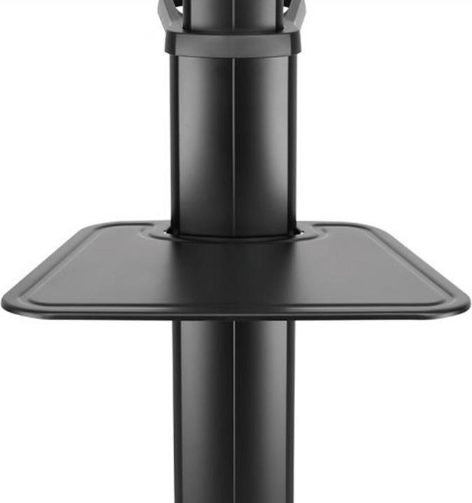 Actual product image Hagor BrackIT Stand Single (65 inch) (65", 70 kg)