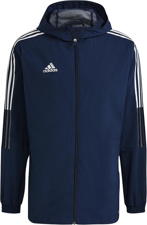 dark blue / white