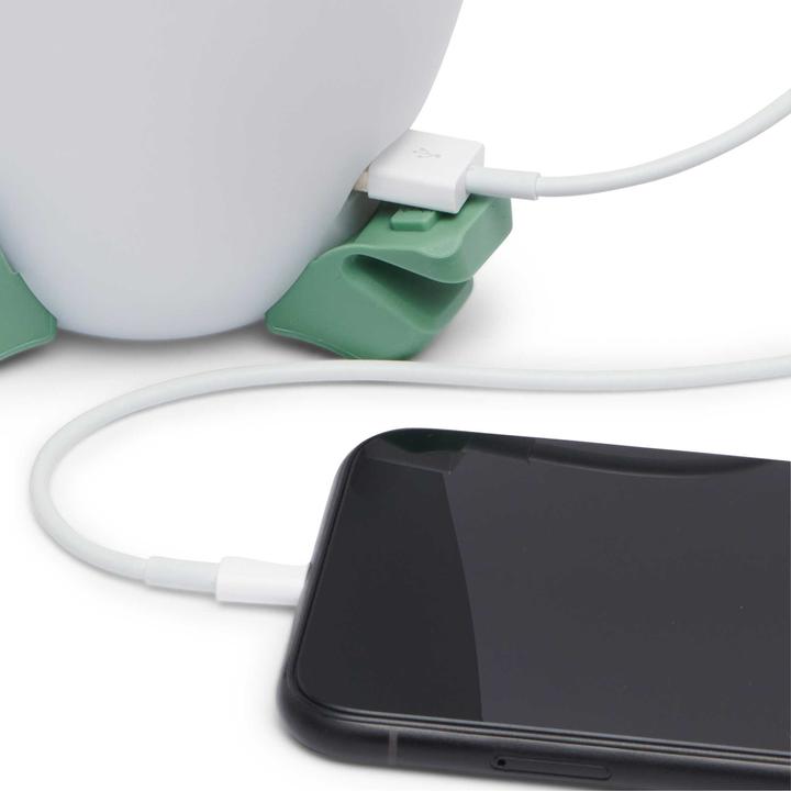Immagine prodotto Black Diamond Lanterna Orbiter 450 (menta/bianco?)