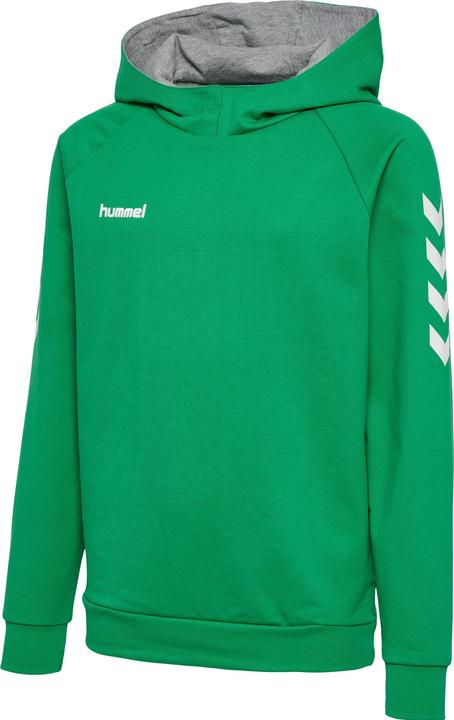 Image du produit hummel Go Kids Hoodie En Coton (140)