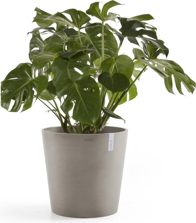 Actual product image Ecopots Amsterdam (40 cm)