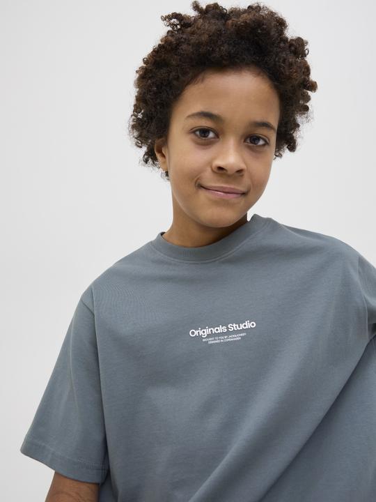 Produktbild Jack & Jones Jorvesterbro Tee Ss Crew Neck Noos Jnr (164)