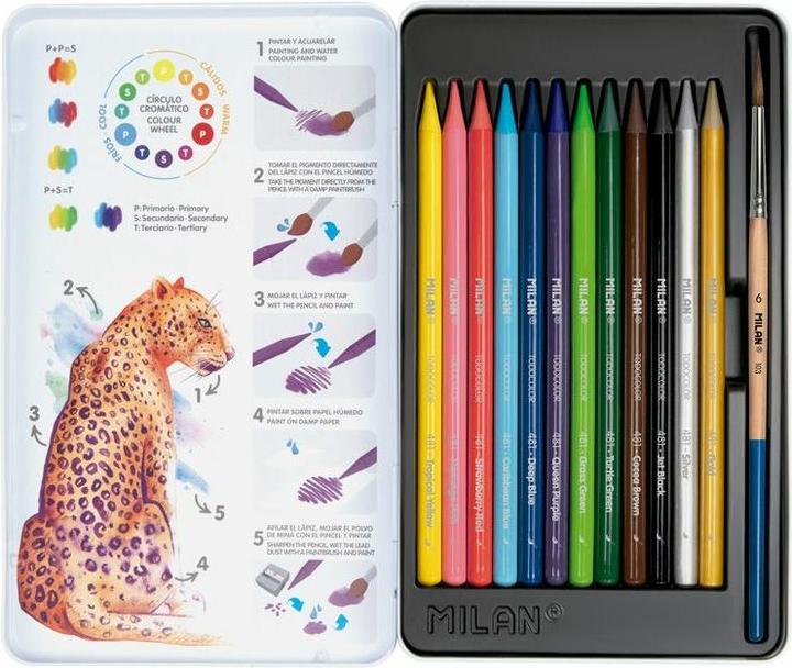 Actual product image Woodfree Watercolour Pencils 12 Colours + Brushes (12 colours, 12 x)