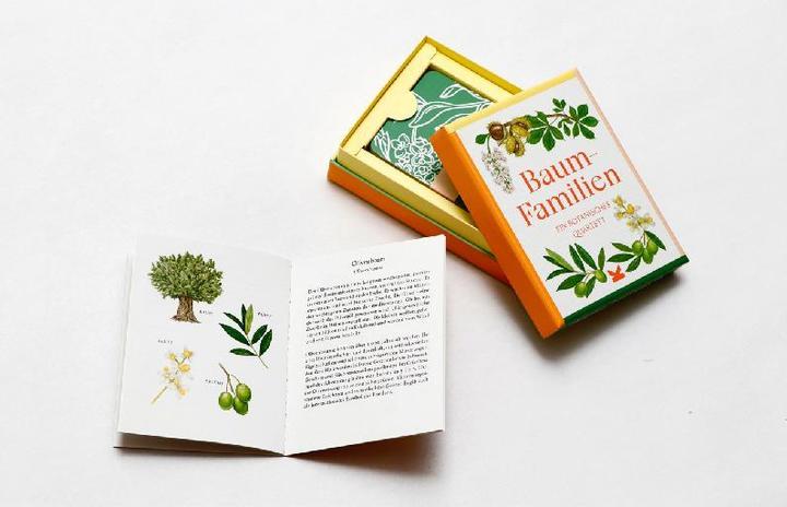 Produktbild 441876 - Baum-Familien - Kartenspiel, 3-8 Spieler, ab 6 Jahren (DE-Ausgabe) (Deutsch)