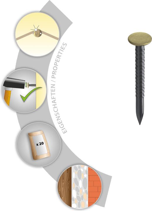 Produktbild Tox Bildernagel Home Classic mit Messingkopf 2,0 x 40mm (20 Stück, 40 mm)