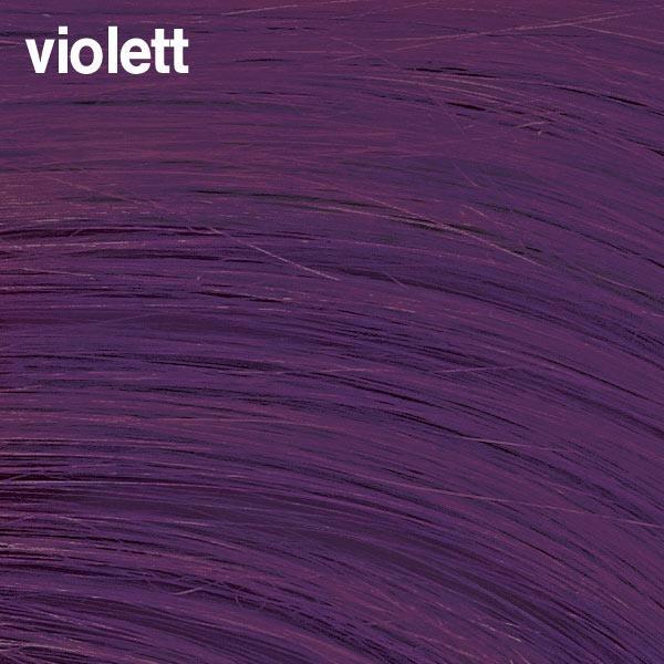 Immagine prodotto Basler Colore 2002+ Colore della striscia (Viola)