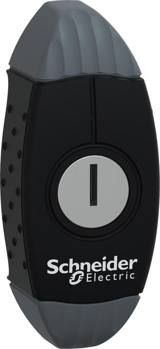 Schneider Electric Chiusura con maniglia a levetta 242E