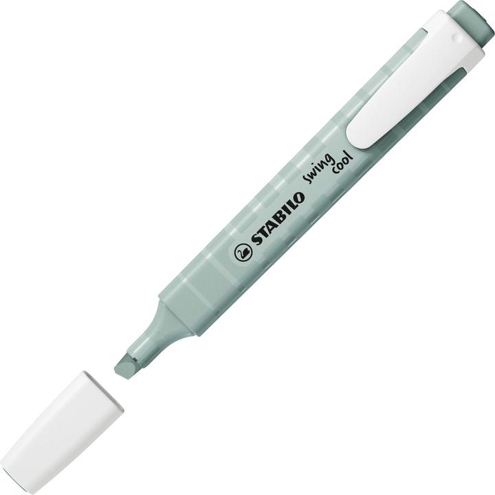Produktbild STABILO Swing Cool (Erdgrün, 4 mm, 1 x)