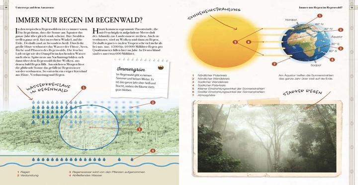 Produktbild Verborgene Welt des Regenwaldes (Deutsch, Kristina Scharmacher-Schreiber, Ferruccio Cucchiarini, 2020)