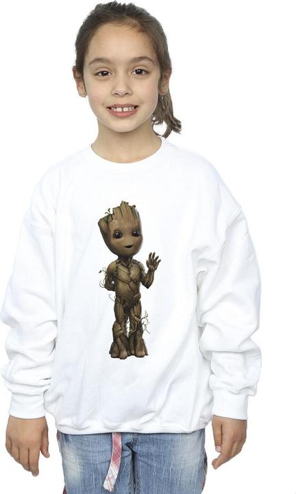 Produktbild I Am Groot Wave Pose Sweatshirt Mädchen (140, 146)