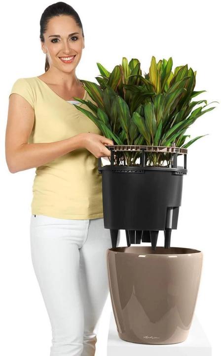 Produktbild Lechuza Classico (28.50 cm)