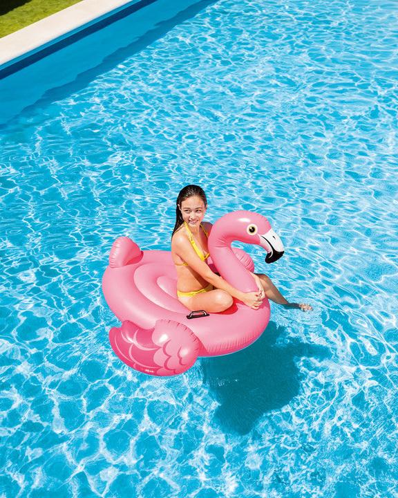 Image du produit Intex Flamingo Ride On
