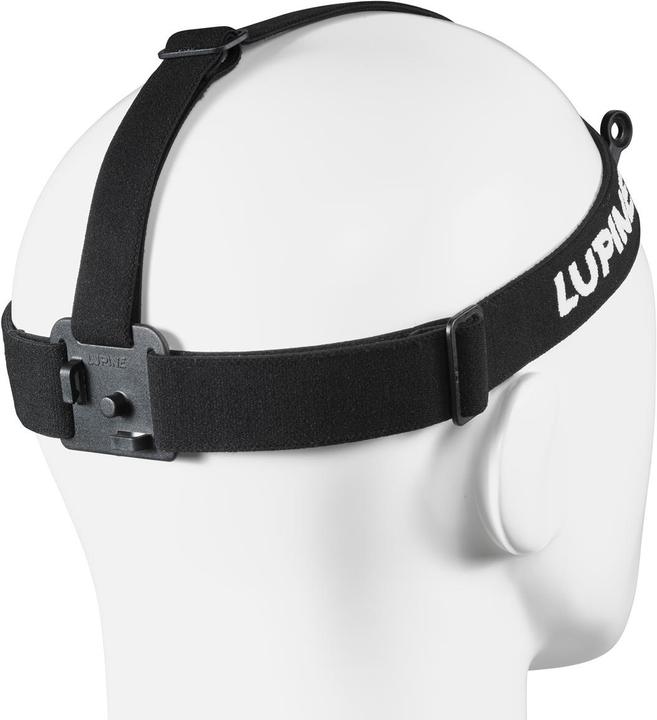 Actual product image Lupine Headband