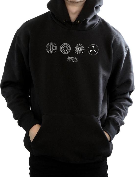 Image du produit Fantastic Beasts - Sweat à capuche CIRCULAR ICONS - Homme (XL)