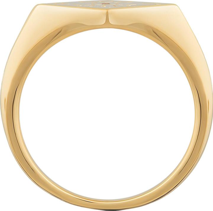 Produktbild Caï Herrenring (58, 925 Silber)