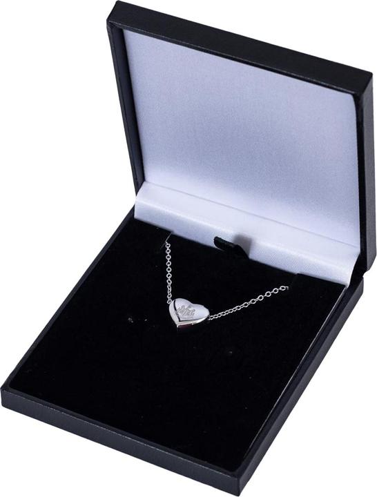 Image du produit Newcastle United FC - Collier et pendentif (Matériau 100% synthétique)