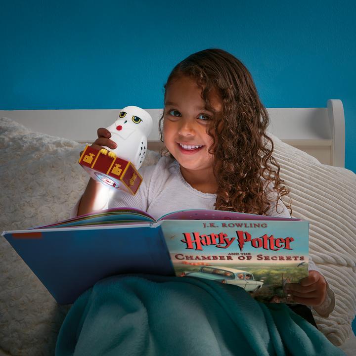 Image du produit Worlds Apart Harry Potter Hedwig GoGlow Buddy Night Light et Torch